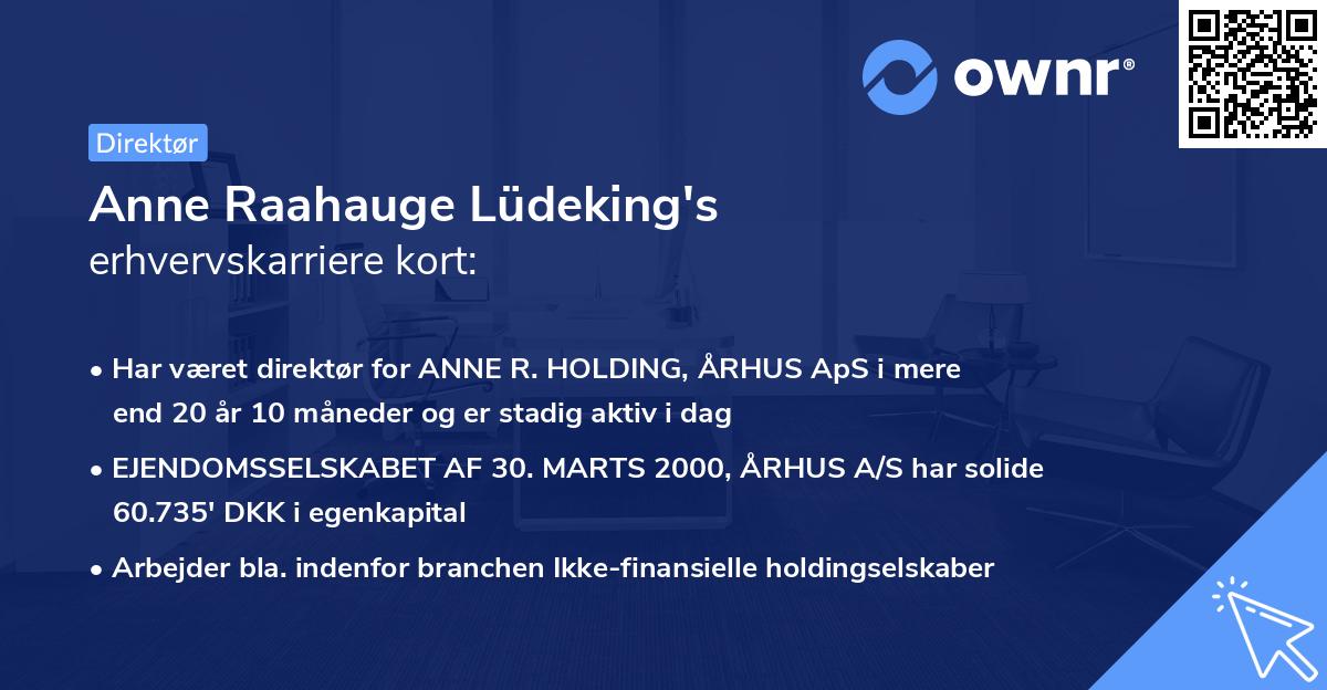 Anne Raahauge Lüdeking's erhvervskarriere kort