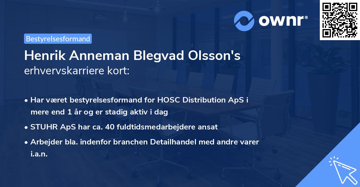 Henrik Anneman Blegvad Olsson's erhvervskarriere kort