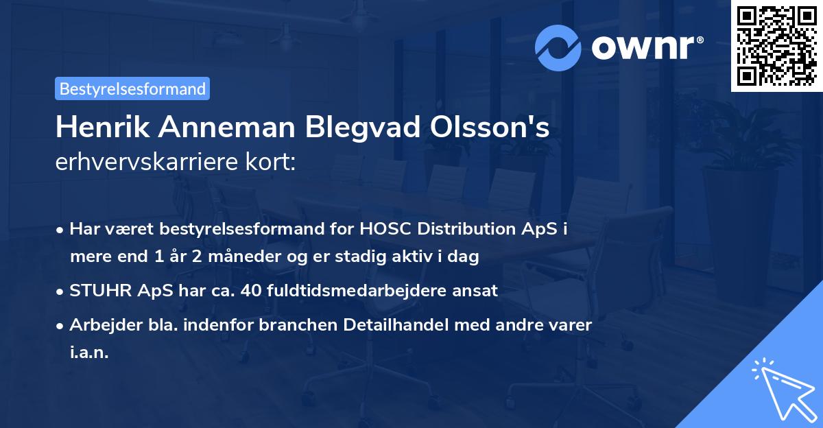 Henrik Anneman Blegvad Olsson's erhvervskarriere kort