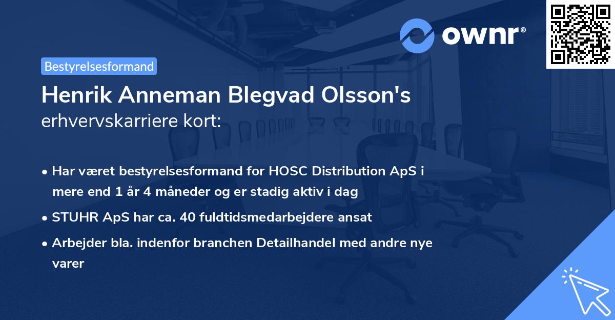 Henrik Anneman Blegvad Olsson's erhvervskarriere kort