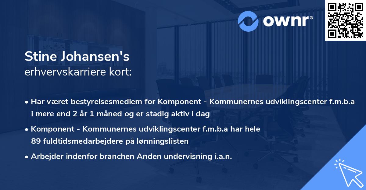 Stine Johansen's erhvervskarriere kort