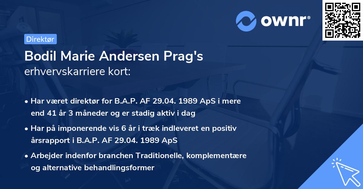 Bodil Marie Andersen Prag's erhvervskarriere kort