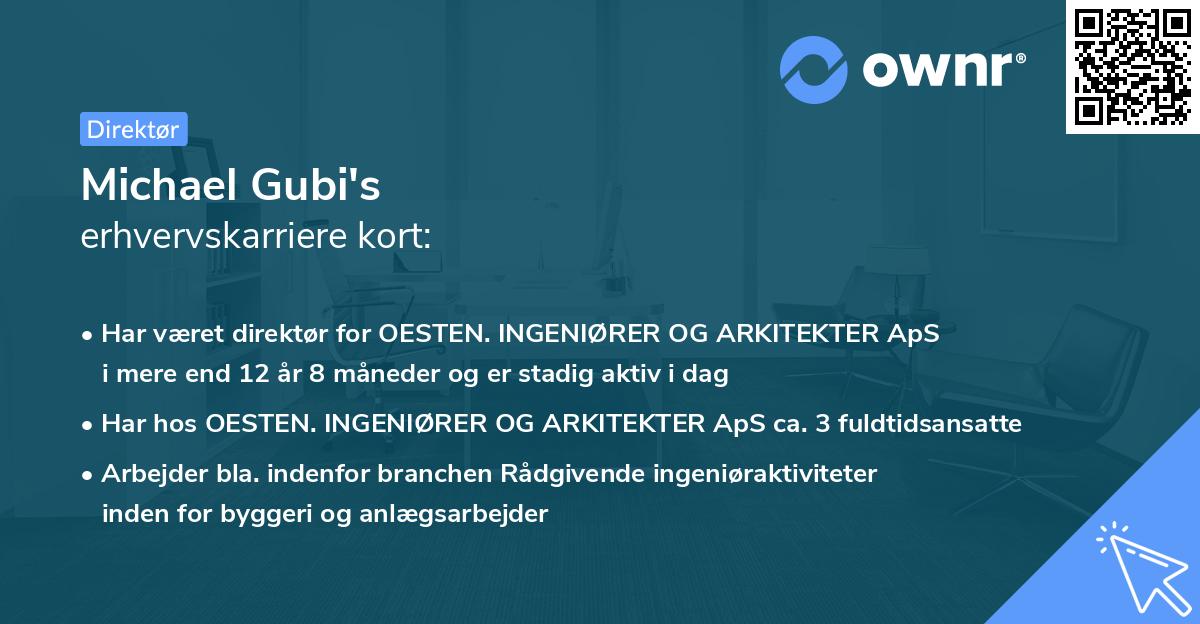 Michael Gubi's erhvervskarriere kort