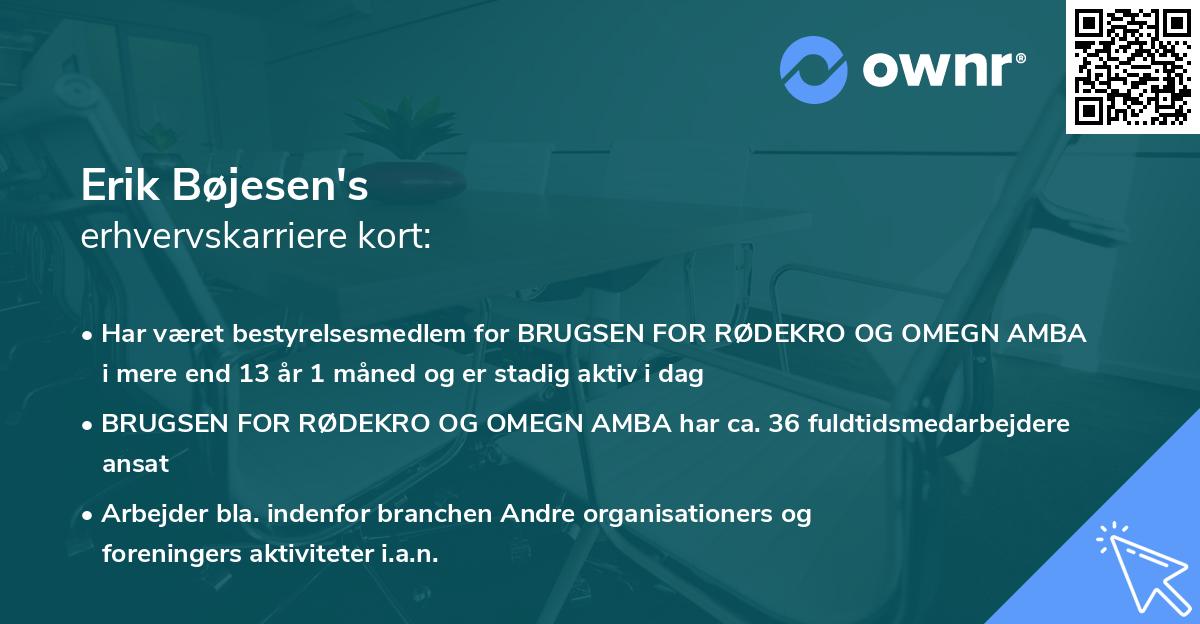 Erik Bøjesen's erhvervskarriere kort