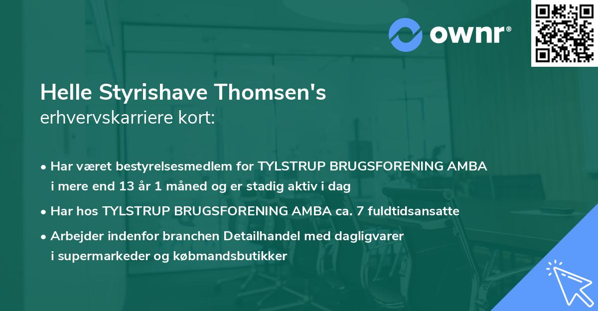 Helle Styrishave Thomsen's erhvervskarriere kort