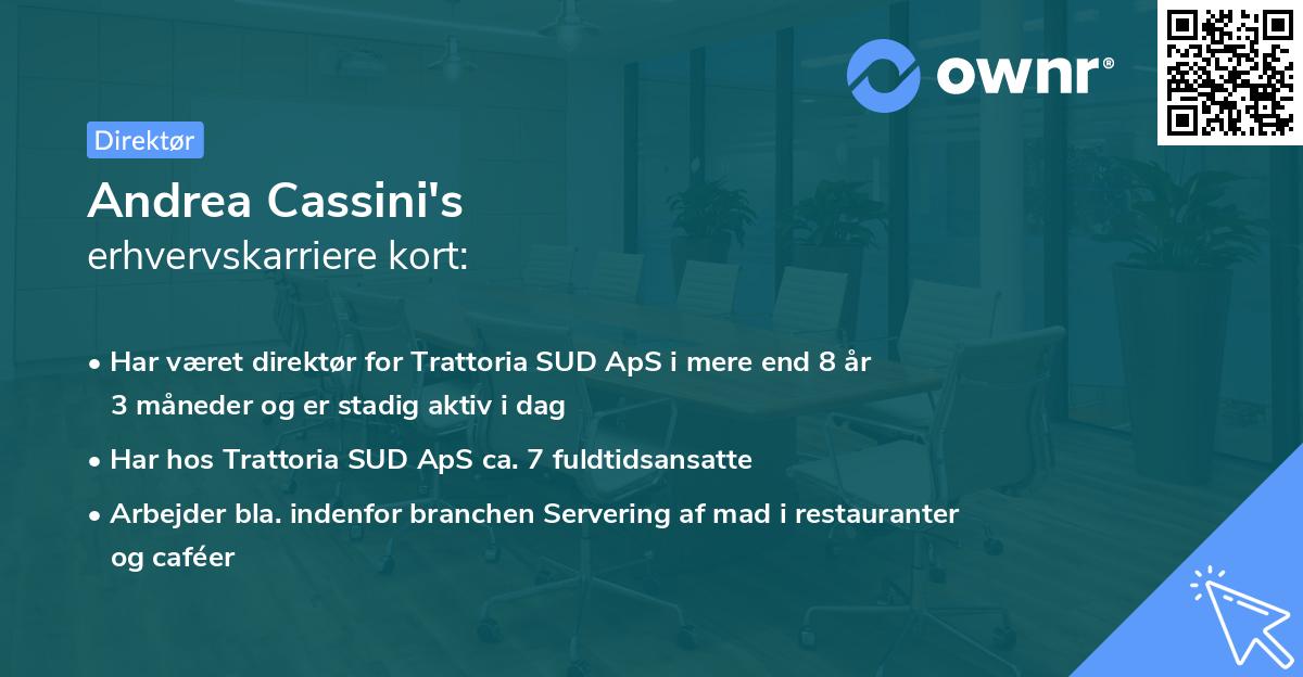 Andrea Cassini's erhvervskarriere kort