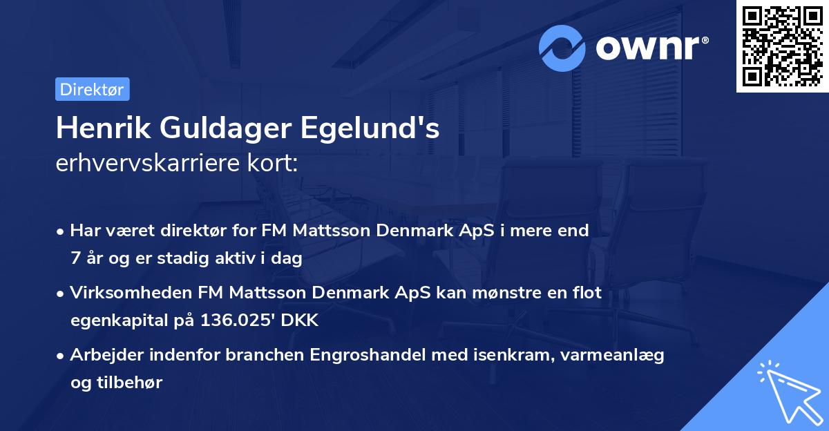 Henrik Guldager Egelund's erhvervskarriere kort