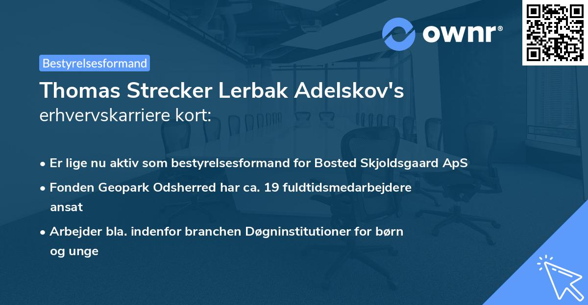 Thomas Strecker Lerbak Adelskov's erhvervskarriere kort