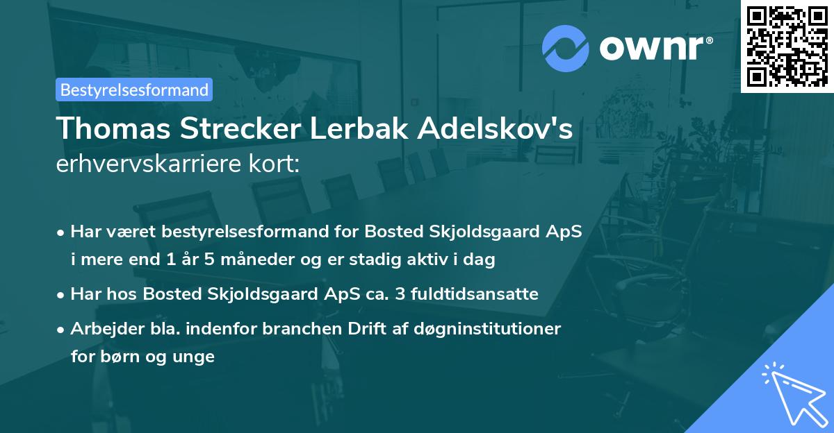 Thomas Strecker Lerbak Adelskov's erhvervskarriere kort