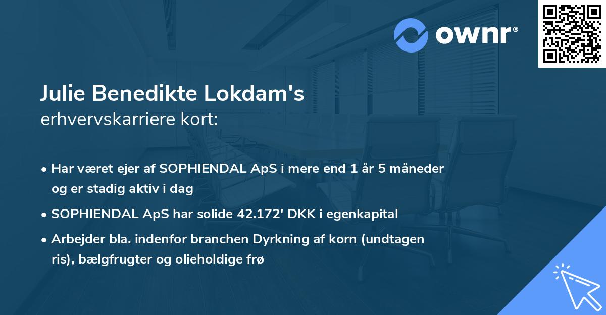 Julie Benedikte Lokdam's erhvervskarriere kort