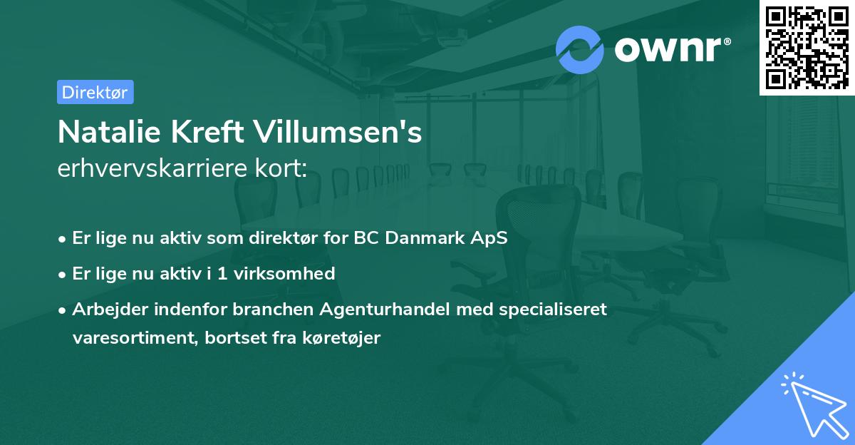 Natalie Kreft Villumsen's erhvervskarriere kort