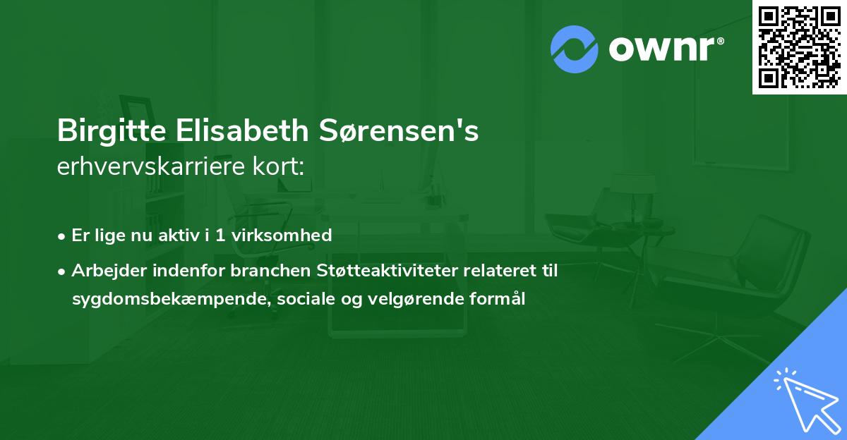 Birgitte Elisabeth Sørensen's erhvervskarriere kort