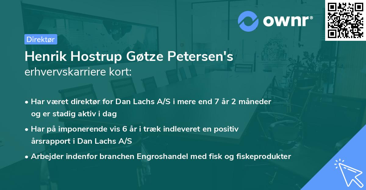 Henrik Hostrup Gøtze Petersen's erhvervskarriere kort