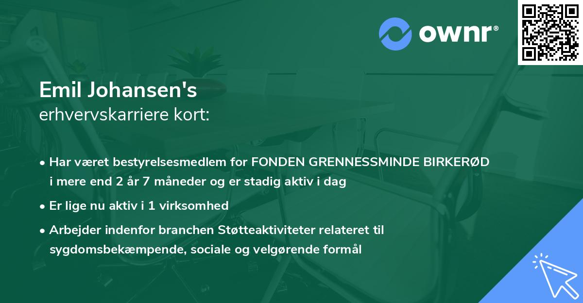 Emil Johansen's erhvervskarriere kort