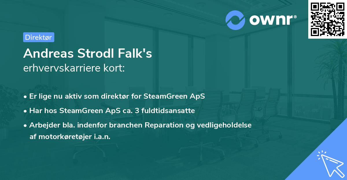 Andreas Strodl Falk's erhvervskarriere kort