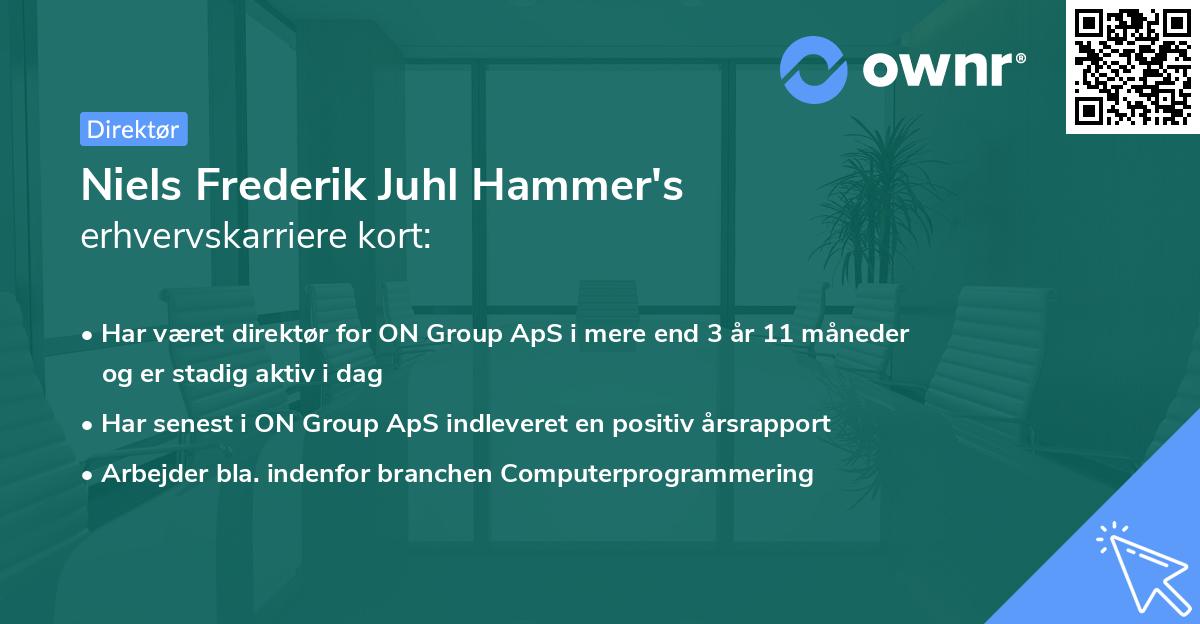 Niels Frederik Juhl Hammer's erhvervskarriere kort