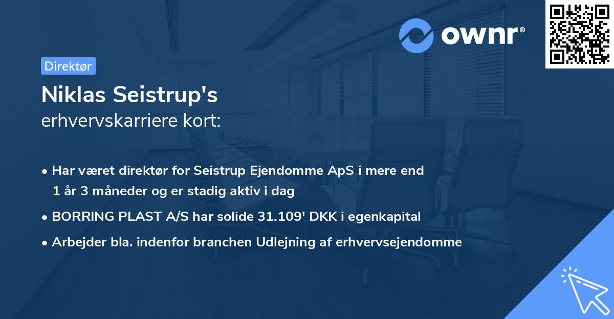 Niklas Seistrup's erhvervskarriere kort