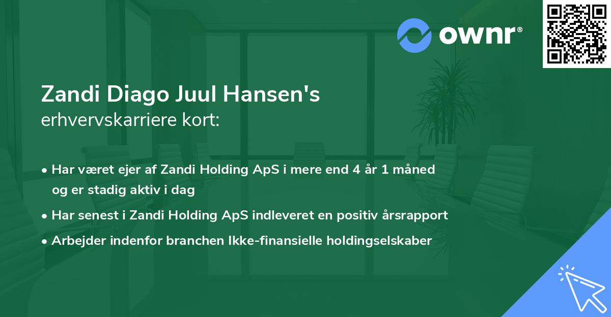 Zandi Diago Juul Hansen's erhvervskarriere kort