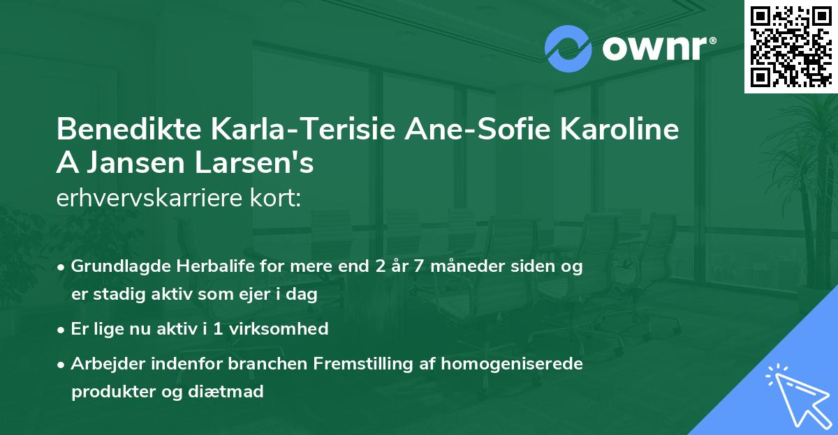 Benedikte Karla-Terisie Ane-Sofie Karoline A Jansen Larsen's erhvervskarriere kort