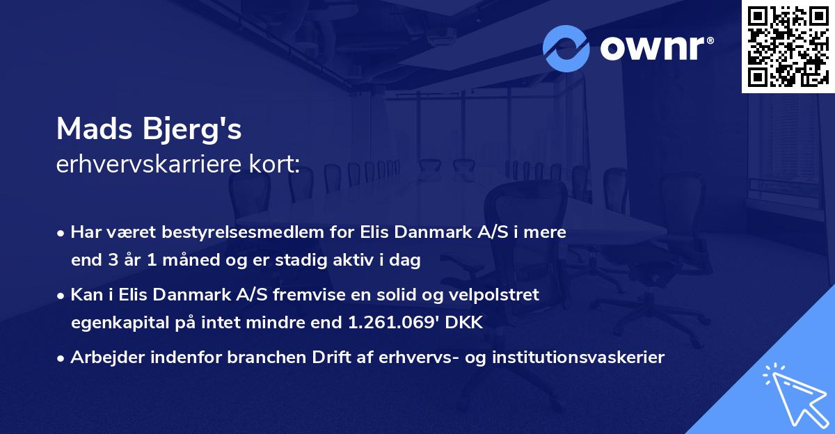 Mads Bjerg's erhvervskarriere kort