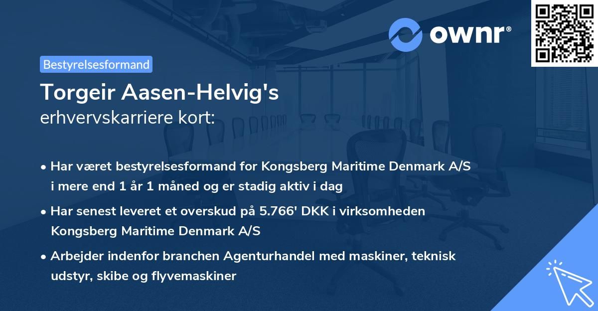 Torgeir Aasen-Helvig's erhvervskarriere kort