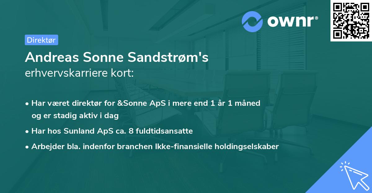 Andreas Sonne Sandstrøm's erhvervskarriere kort