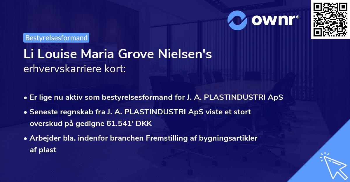 Li Louise Maria Grove Nielsen's erhvervskarriere kort