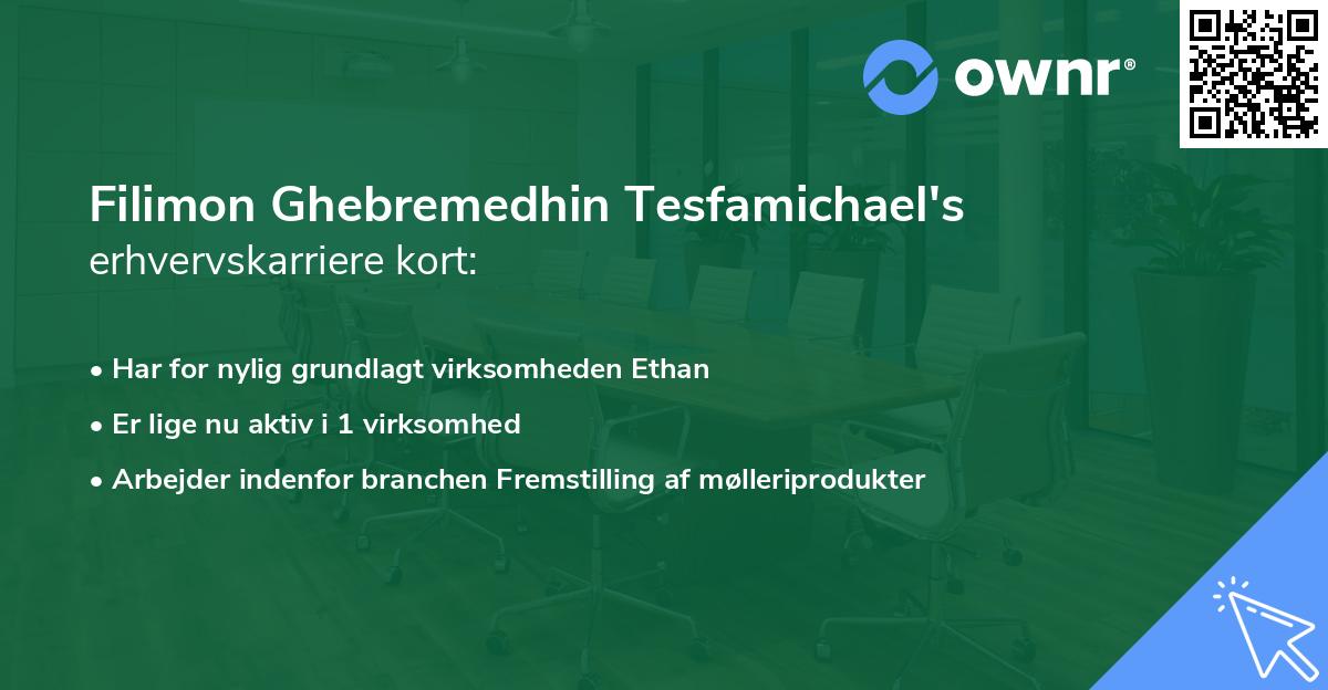 Filimon Ghebremedhin Tesfamichael's erhvervskarriere kort