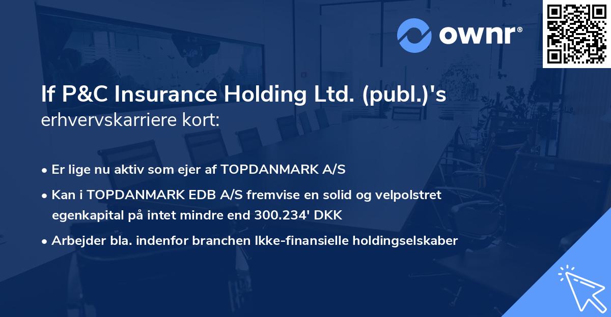 If P&C Insurance Holding Ltd. (publ.)'s erhvervskarriere kort