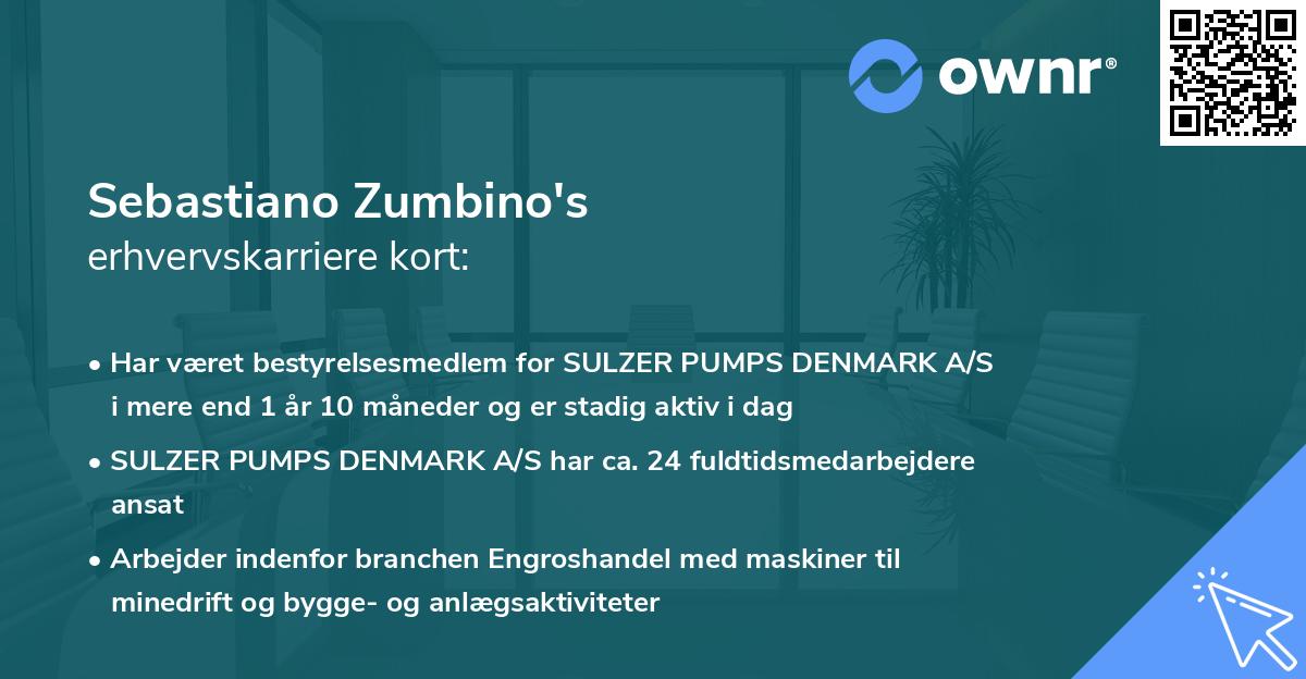 Sebastiano Zumbino's erhvervskarriere kort