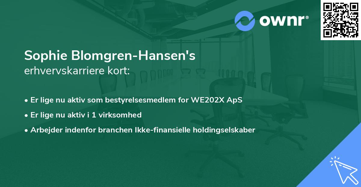 Sophie Blomgren-Hansen's erhvervskarriere kort
