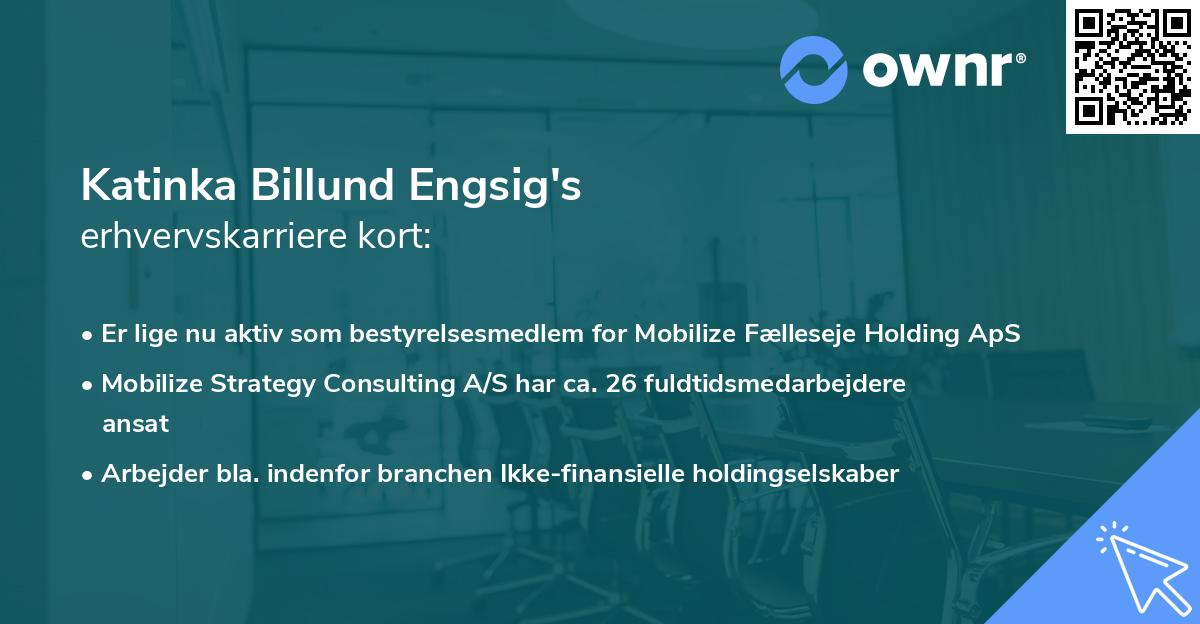 Katinka Billund Engsig's erhvervskarriere kort