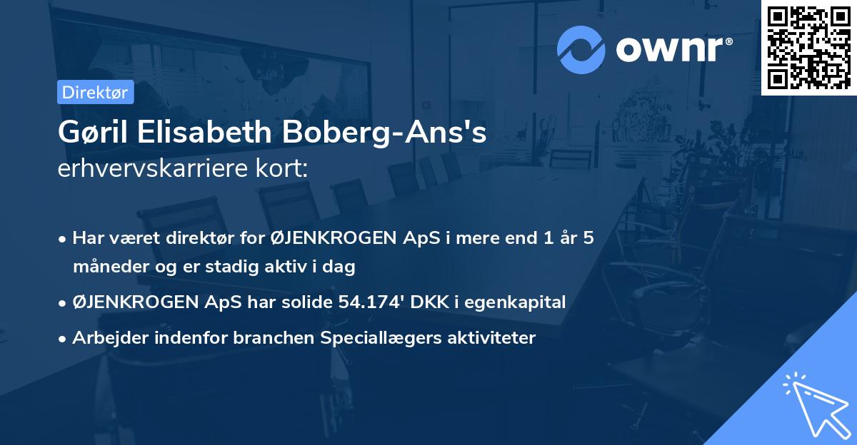 Gøril Elisabeth Boberg-Ans's erhvervskarriere kort
