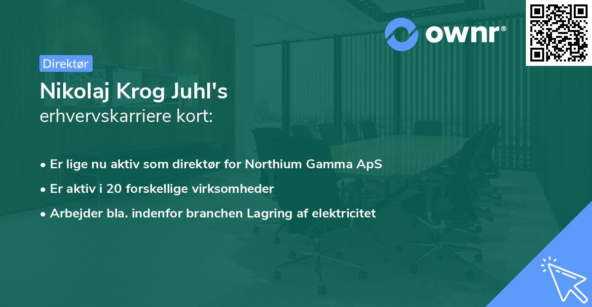 Nikolaj Krog Juhl's erhvervskarriere kort