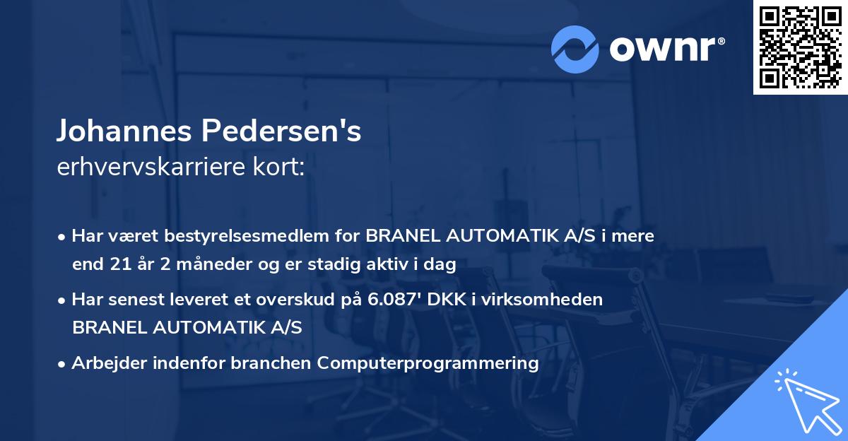 Johannes Pedersen's erhvervskarriere kort