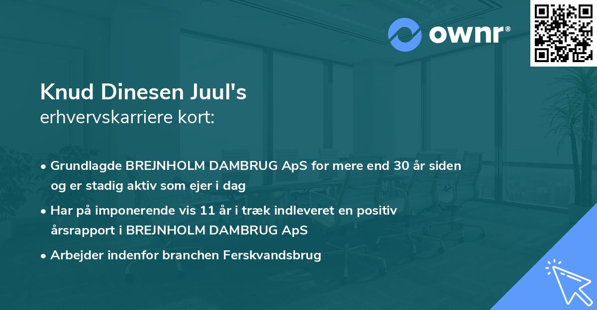Knud Dinesen Juul's erhvervskarriere kort