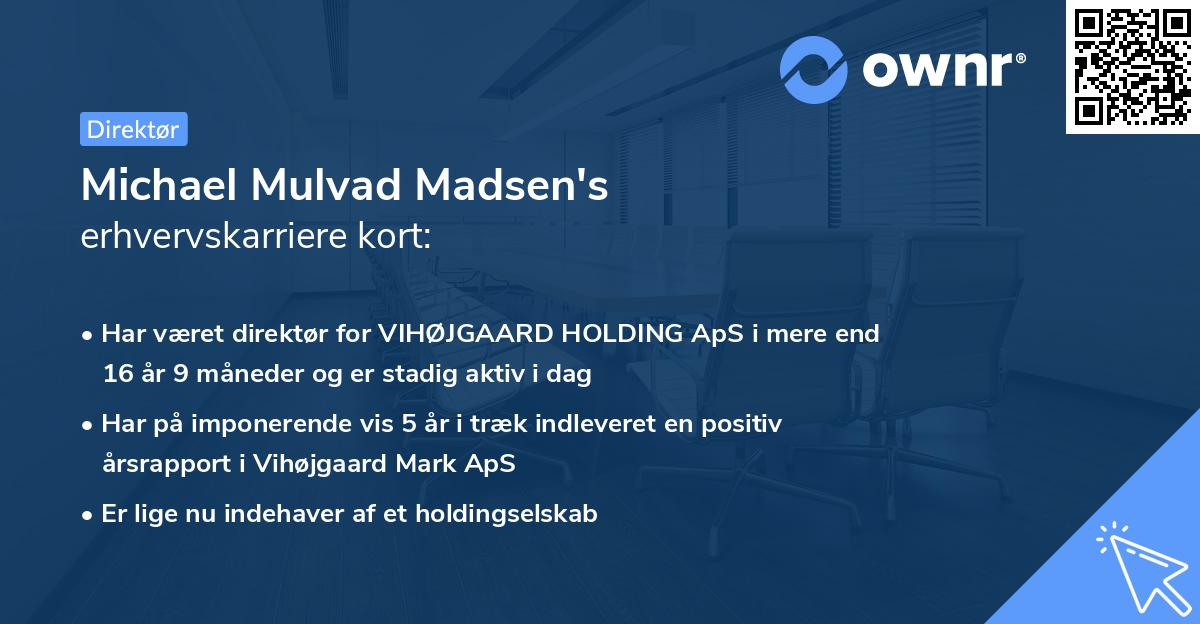 Michael Mulvad Madsen's erhvervskarriere kort