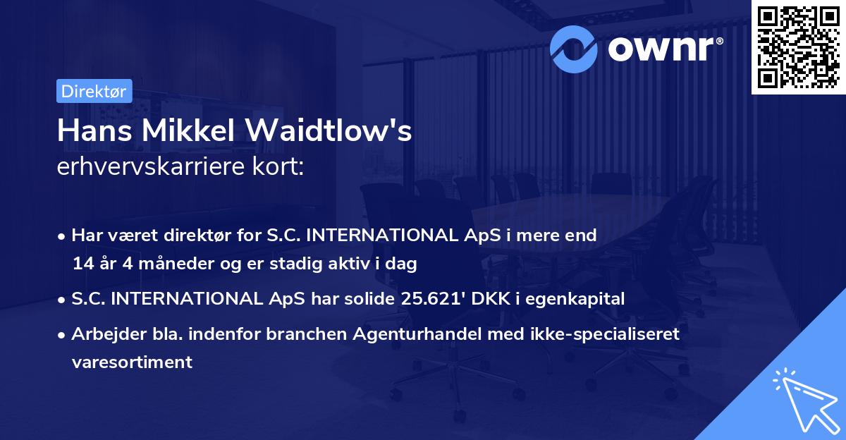 Hans Mikkel Waidtlow's erhvervskarriere kort