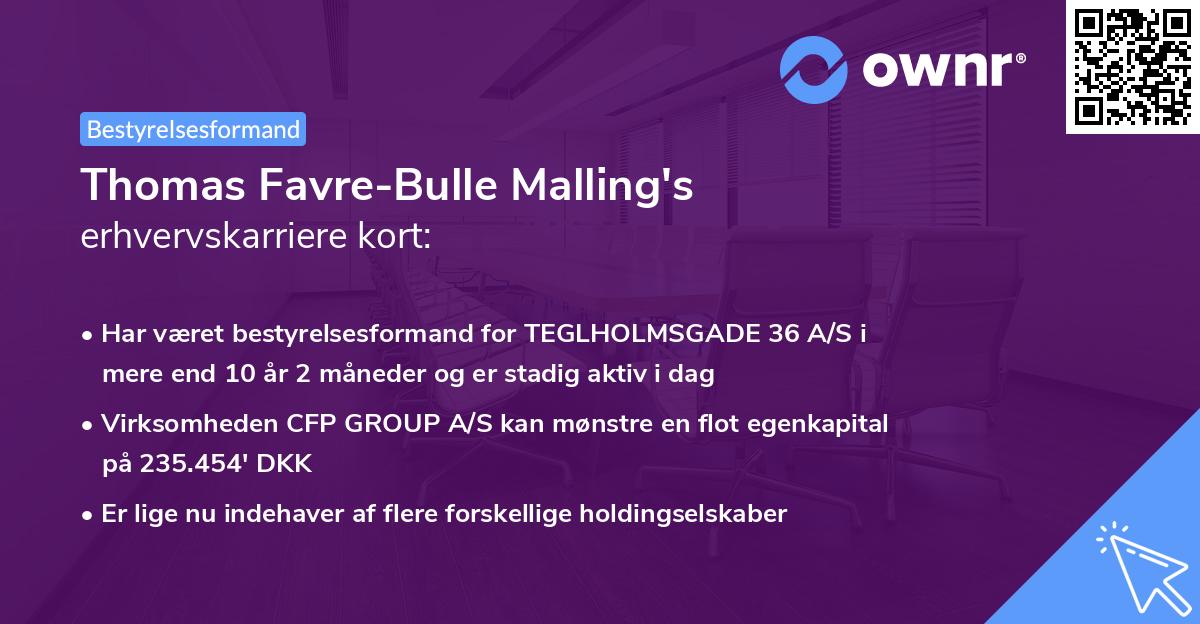 Thomas Favre-Bulle Malling's erhvervskarriere kort