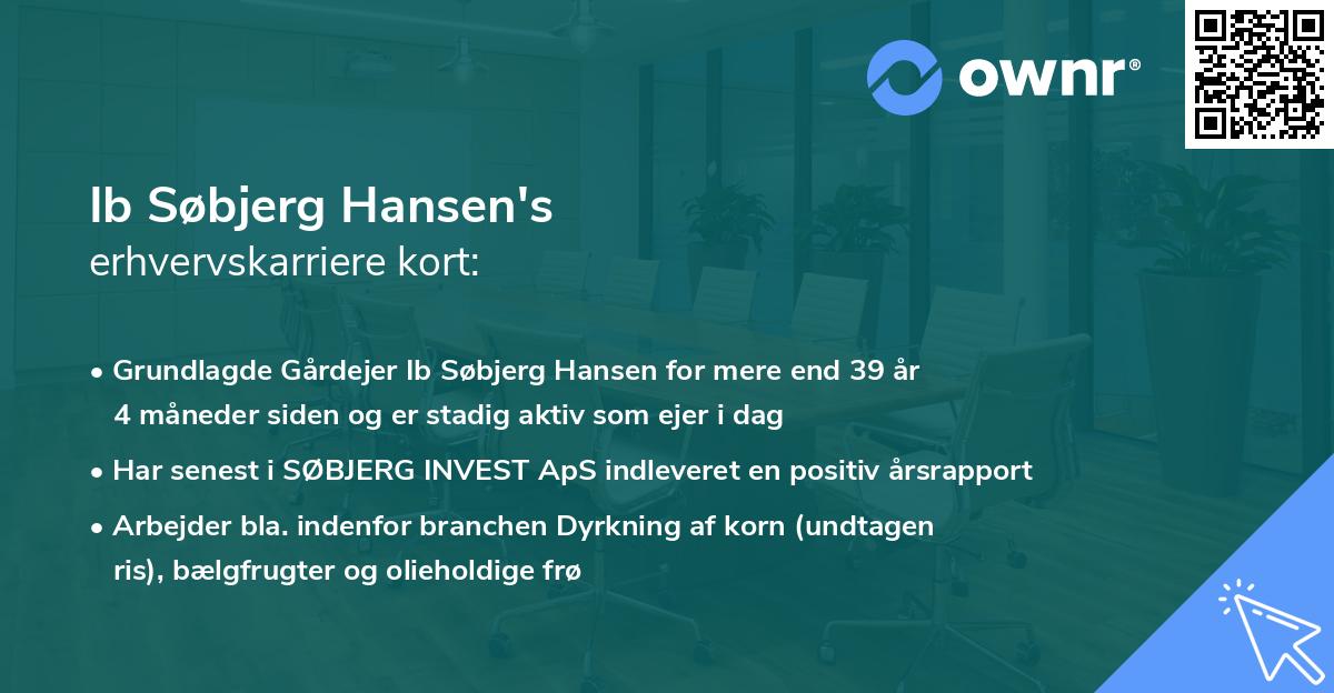 Ib Søbjerg Hansen's erhvervskarriere kort