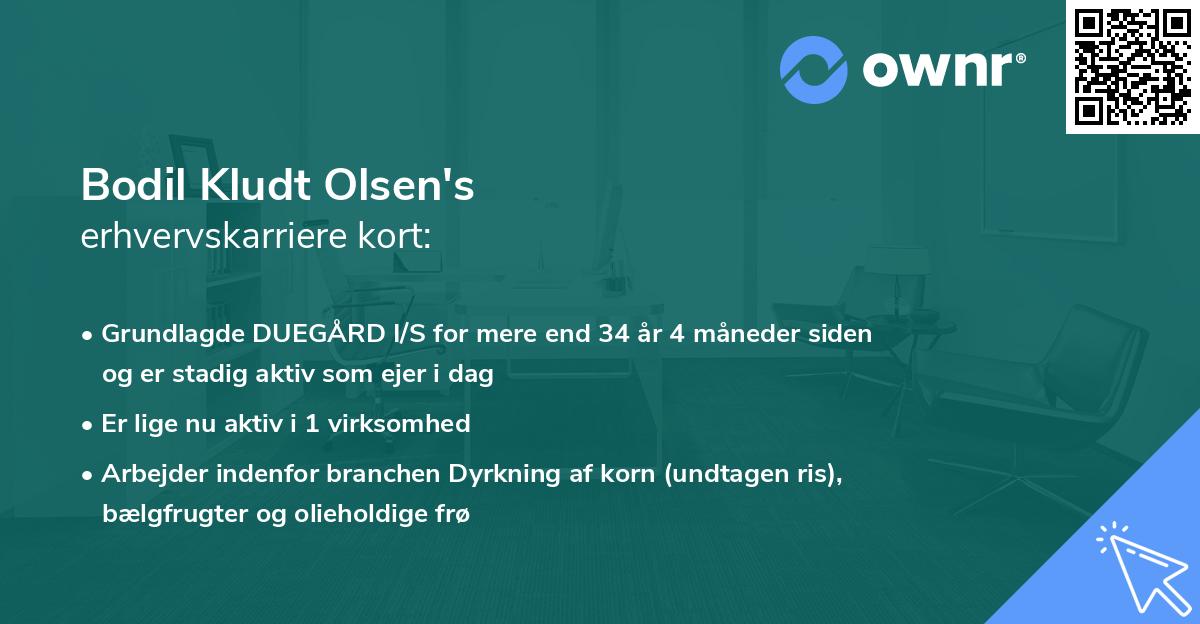 Bodil Kludt Olsen's erhvervskarriere kort