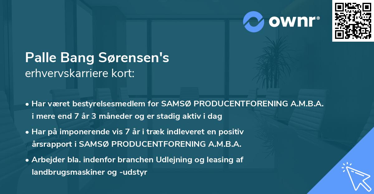 Palle Bang Sørensen's erhvervskarriere kort