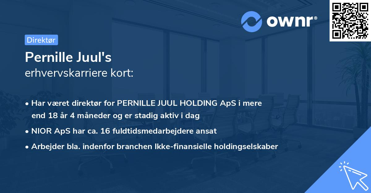 Pernille Juul's erhvervskarriere kort