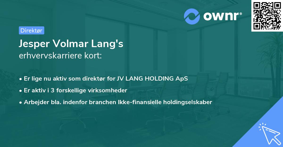 Jesper Volmar Lang's erhvervskarriere kort
