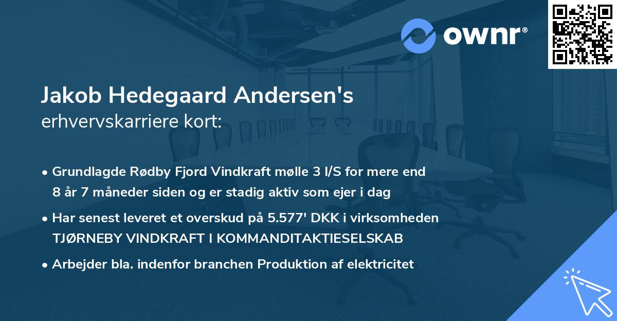 Jakob Hedegaard Andersen's erhvervskarriere kort