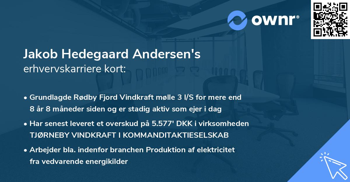 Jakob Hedegaard Andersen's erhvervskarriere kort