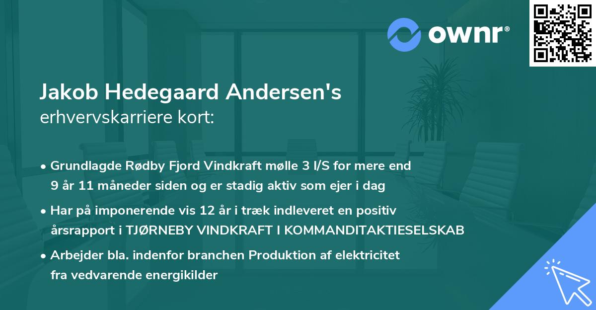 Jakob Hedegaard Andersen's erhvervskarriere kort