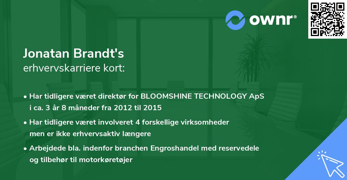 Jonatan Brandt's erhvervskarriere kort