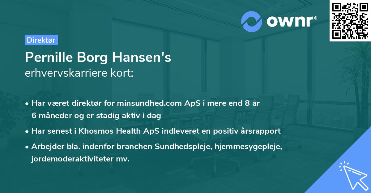 Pernille Borg Hansen's erhvervskarriere kort