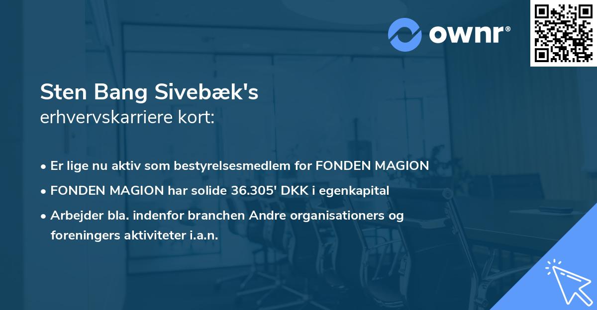 Sten Bang Sivebæk's erhvervskarriere kort